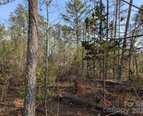 Tbd Whitesides Road Forest City NC